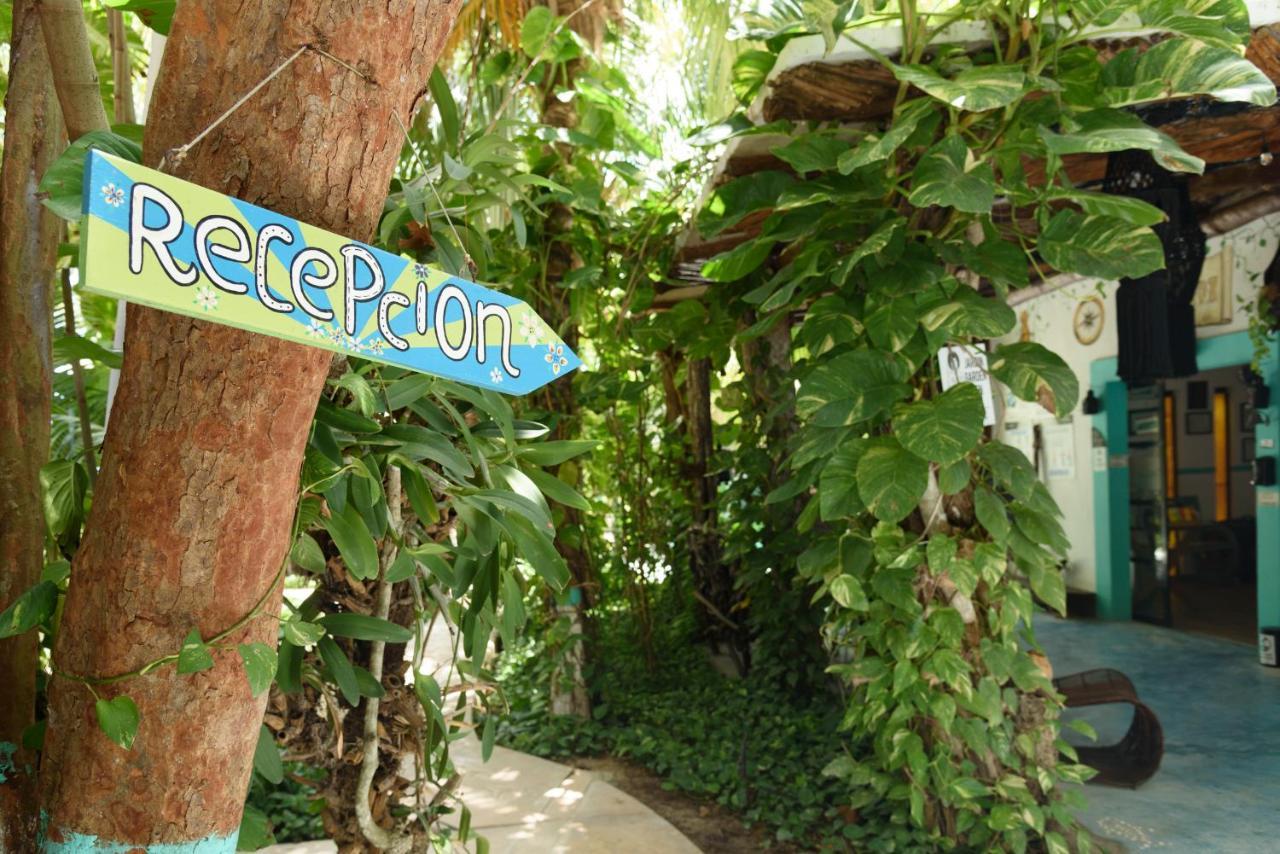 Hotel Villas Tiburon Isla Holbox Exteriér fotografie